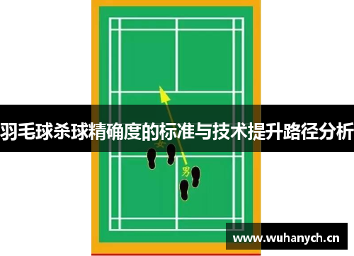 羽毛球杀球精确度的标准与技术提升路径分析