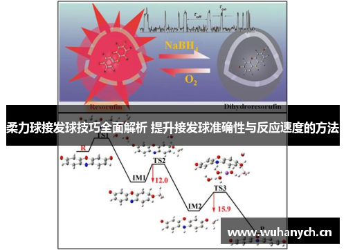 柔力球接发球技巧全面解析 提升接发球准确性与反应速度的方法