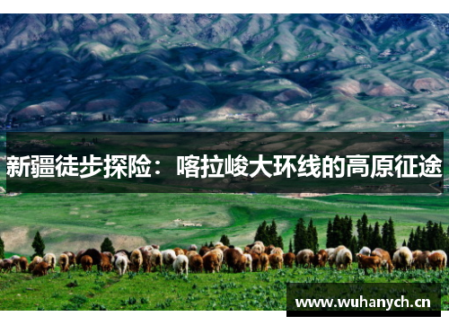 新疆徒步探险：喀拉峻大环线的高原征途