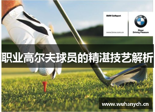 职业高尔夫球员的精湛技艺解析
