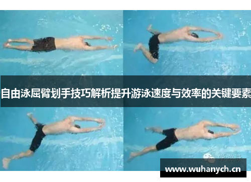 自由泳屈臂划手技巧解析提升游泳速度与效率的关键要素