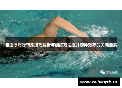 自由泳肩膀转身技巧解析与训练方法提升游泳效率的关键要素