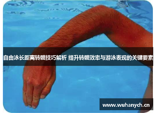 自由泳长距离转髋技巧解析 提升转髋效率与游泳表现的关键要素
