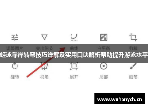 蛙泳靠岸转弯技巧详解及实用口诀解析帮助提升游泳水平