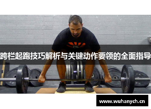跨栏起跑技巧解析与关键动作要领的全面指导